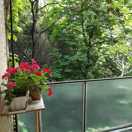 Lejlighed Centrum Apartment2